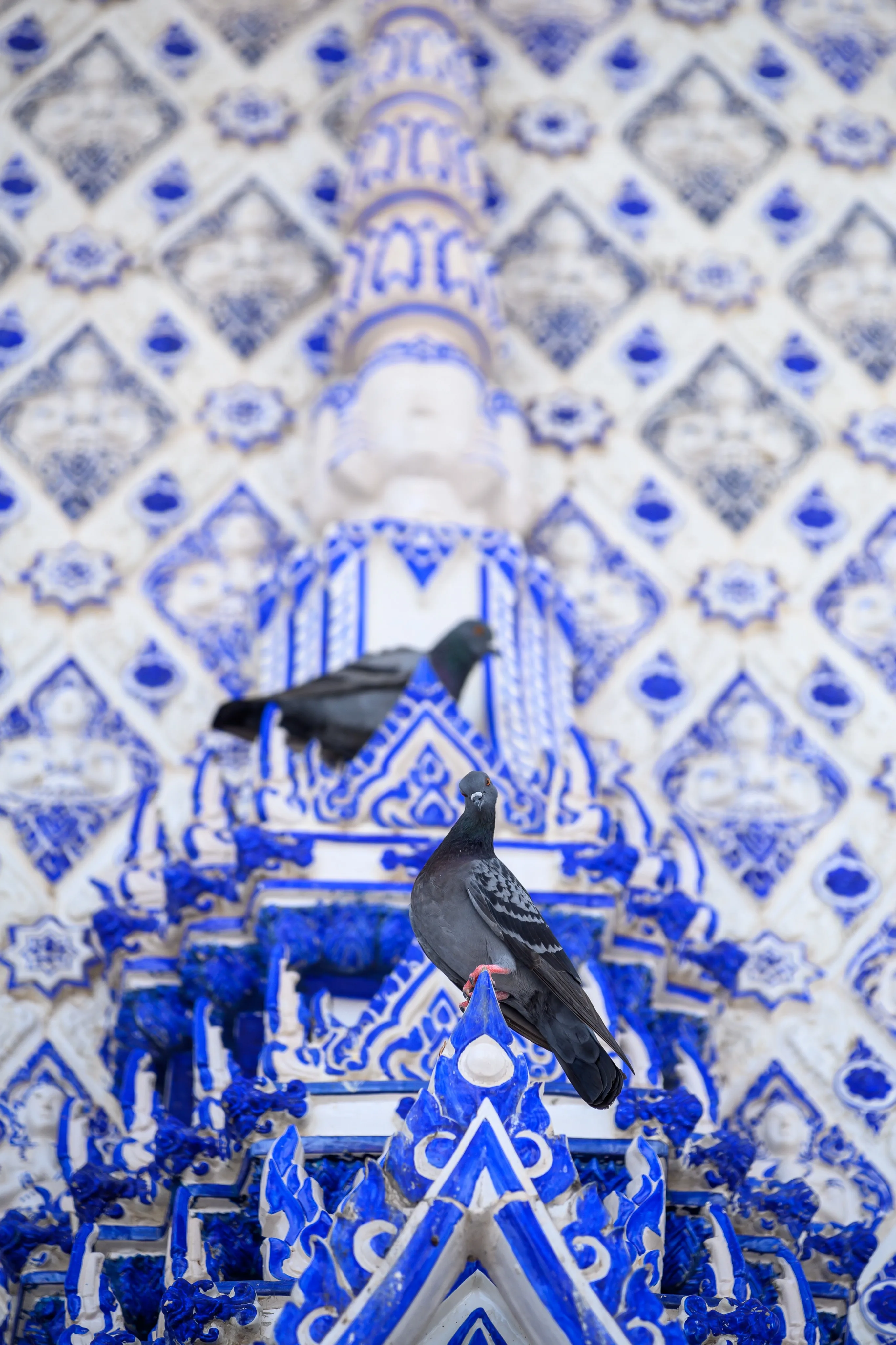 Two pigeons perched on an ornately tiled wall