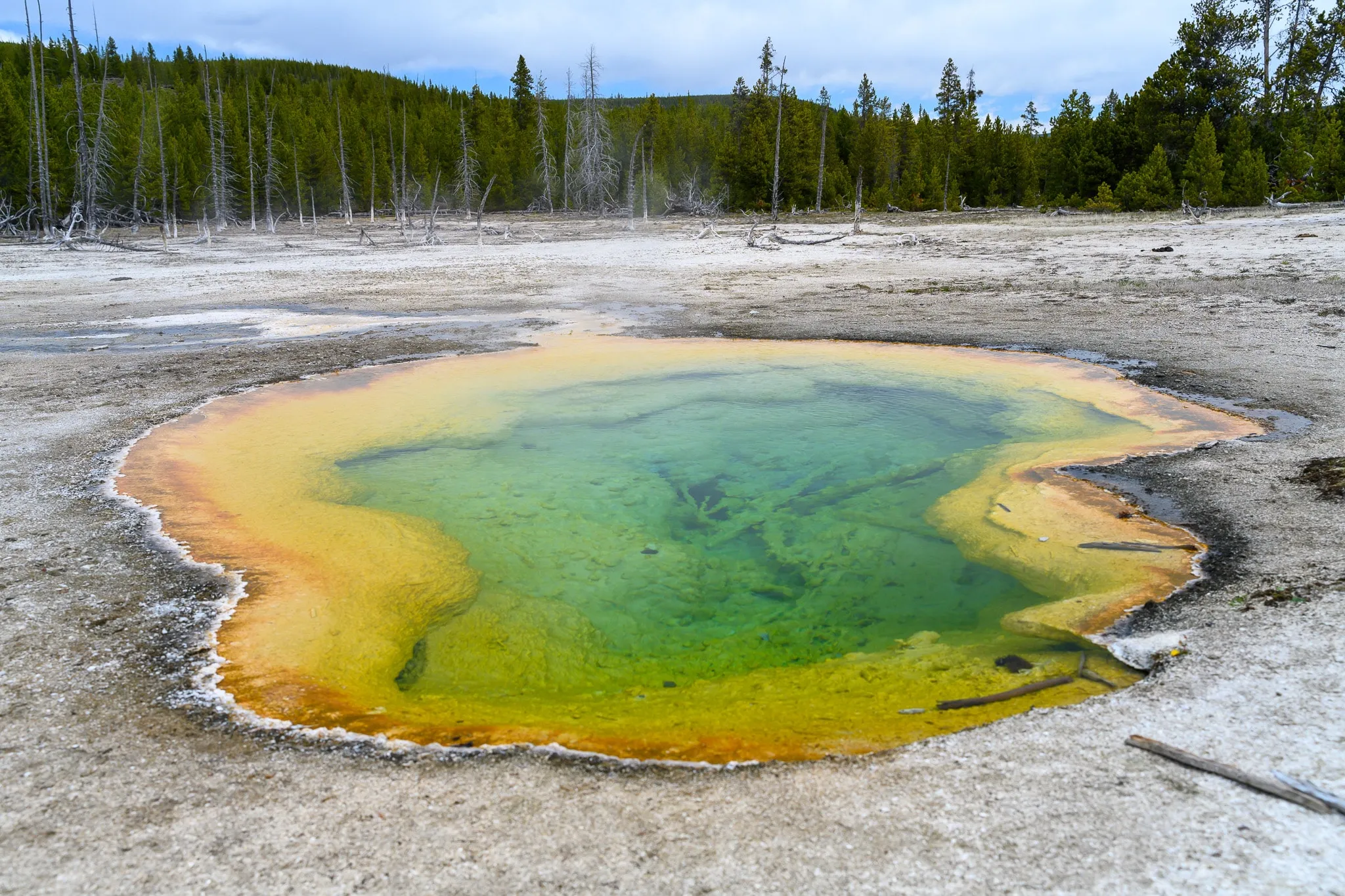 Turquoise hot spring pool ringed by pale mineral terraces and evergreen forest