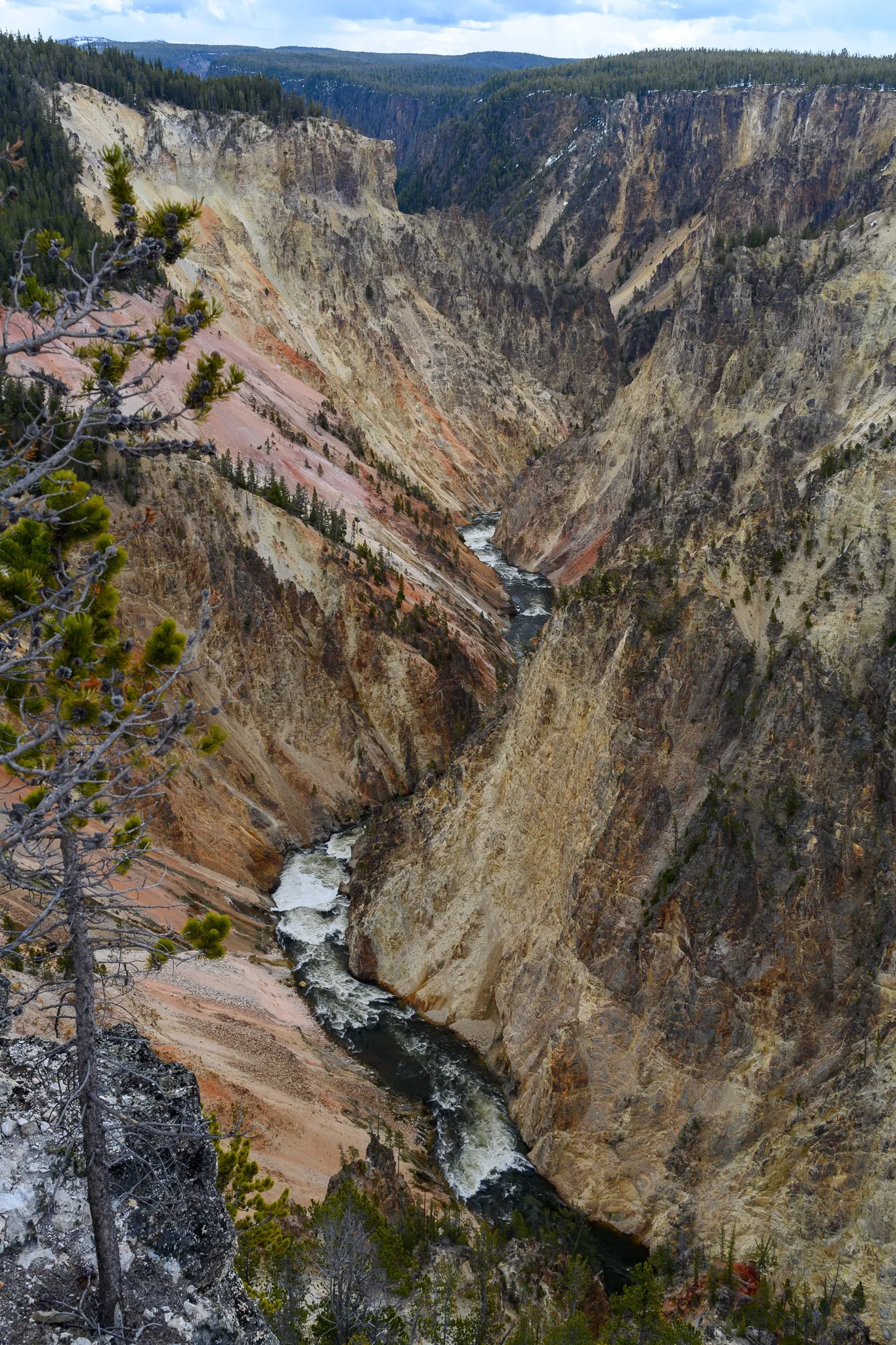Aerial view into a deeply eroded multicolored canyon