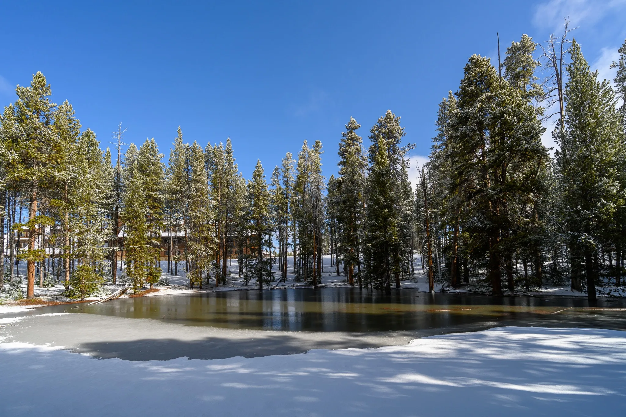 Snow-covered forest and pond beneath a clear blue sky