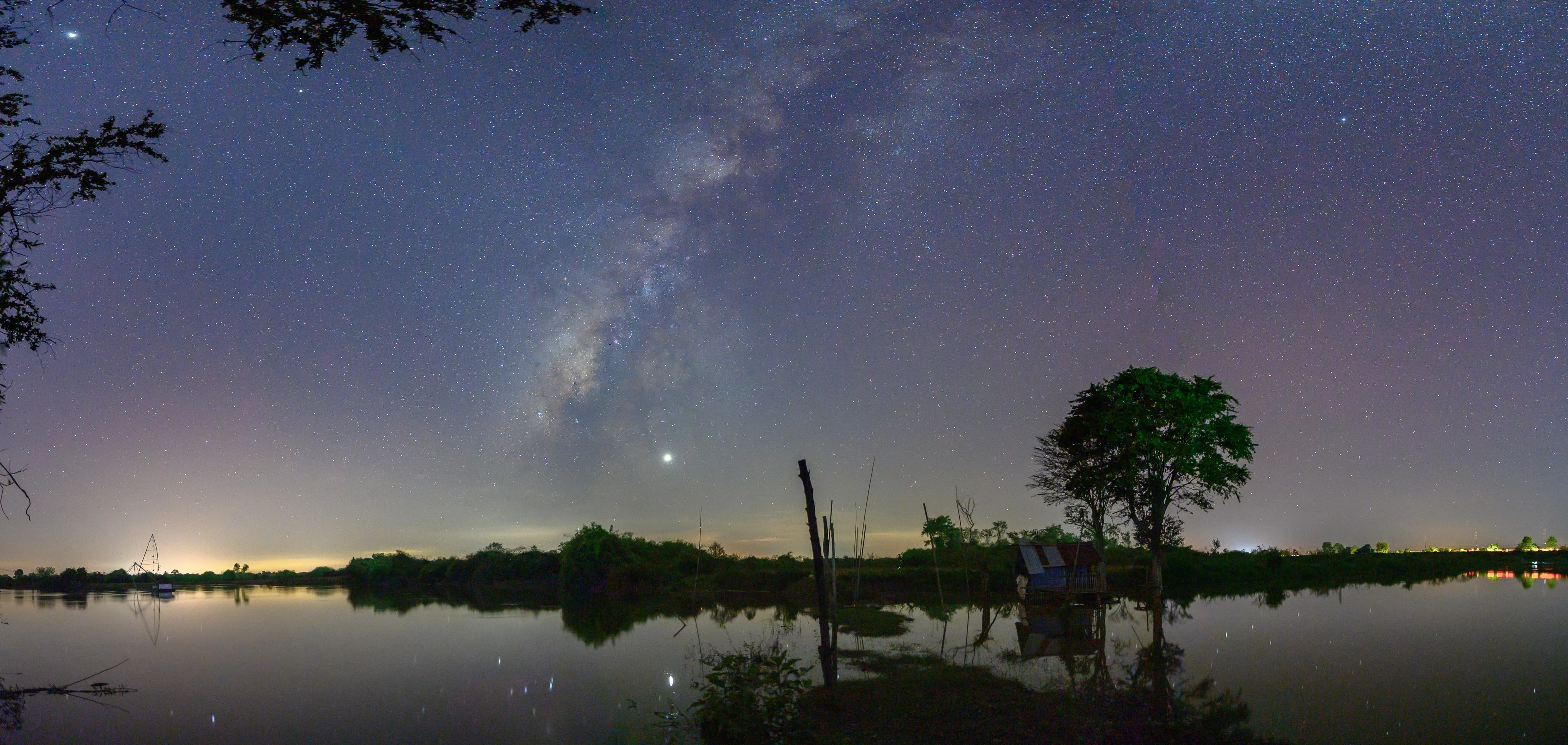 The Milky Way rising beside a lone tree reflected in water