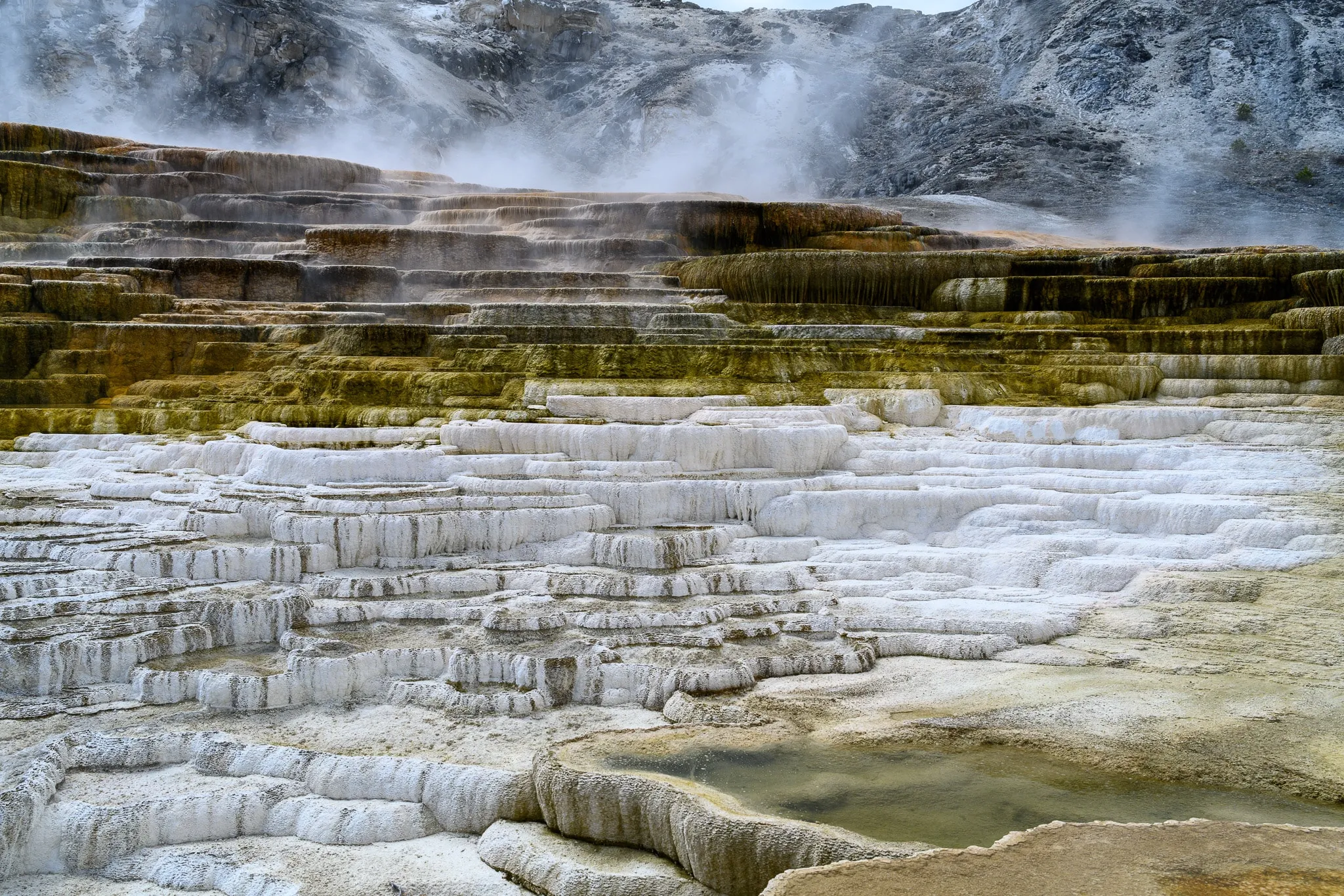Steaming white geothermal terraces layered across a broad basin