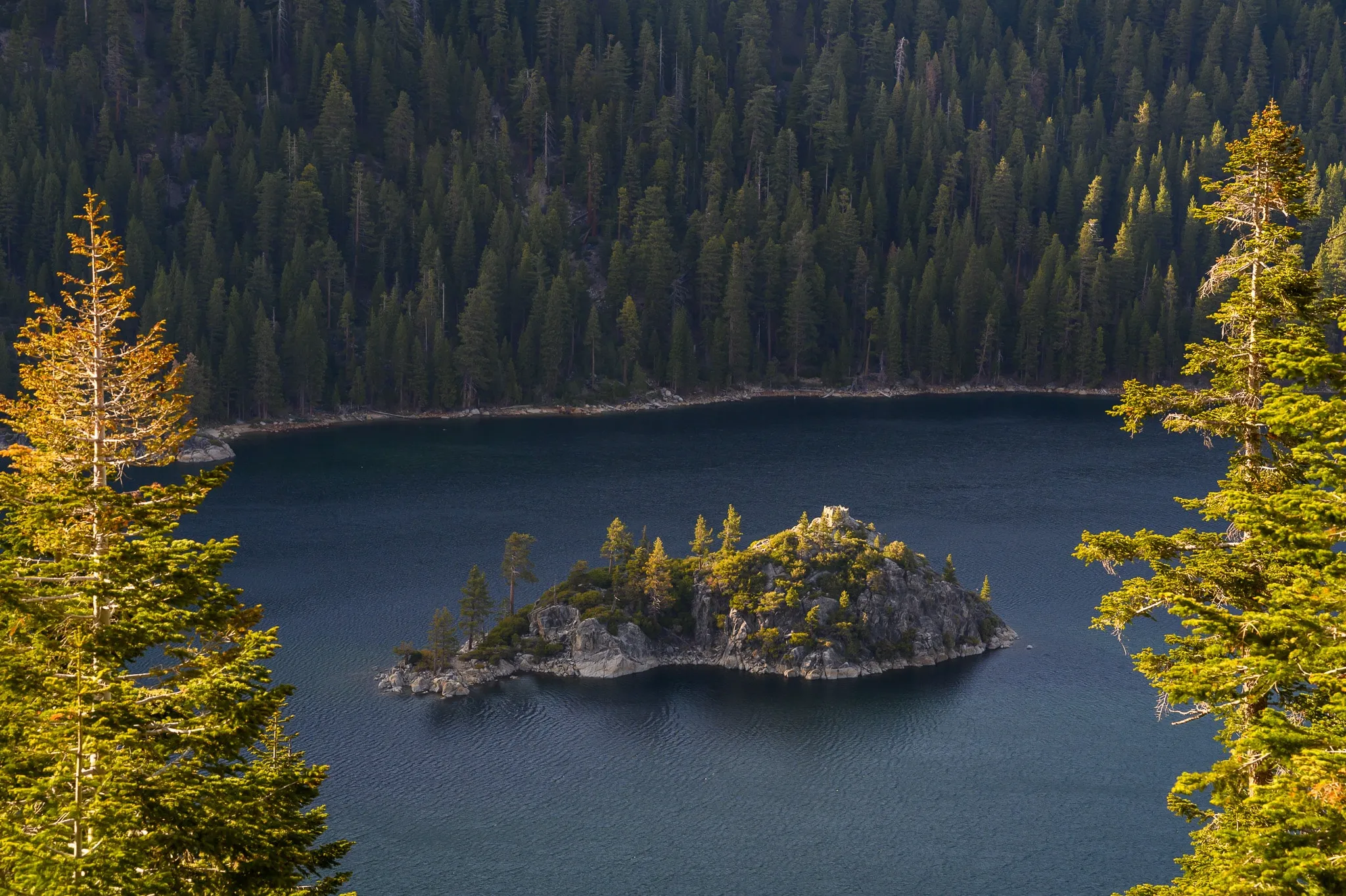 Forest-covered island rising from a dark mountain lake