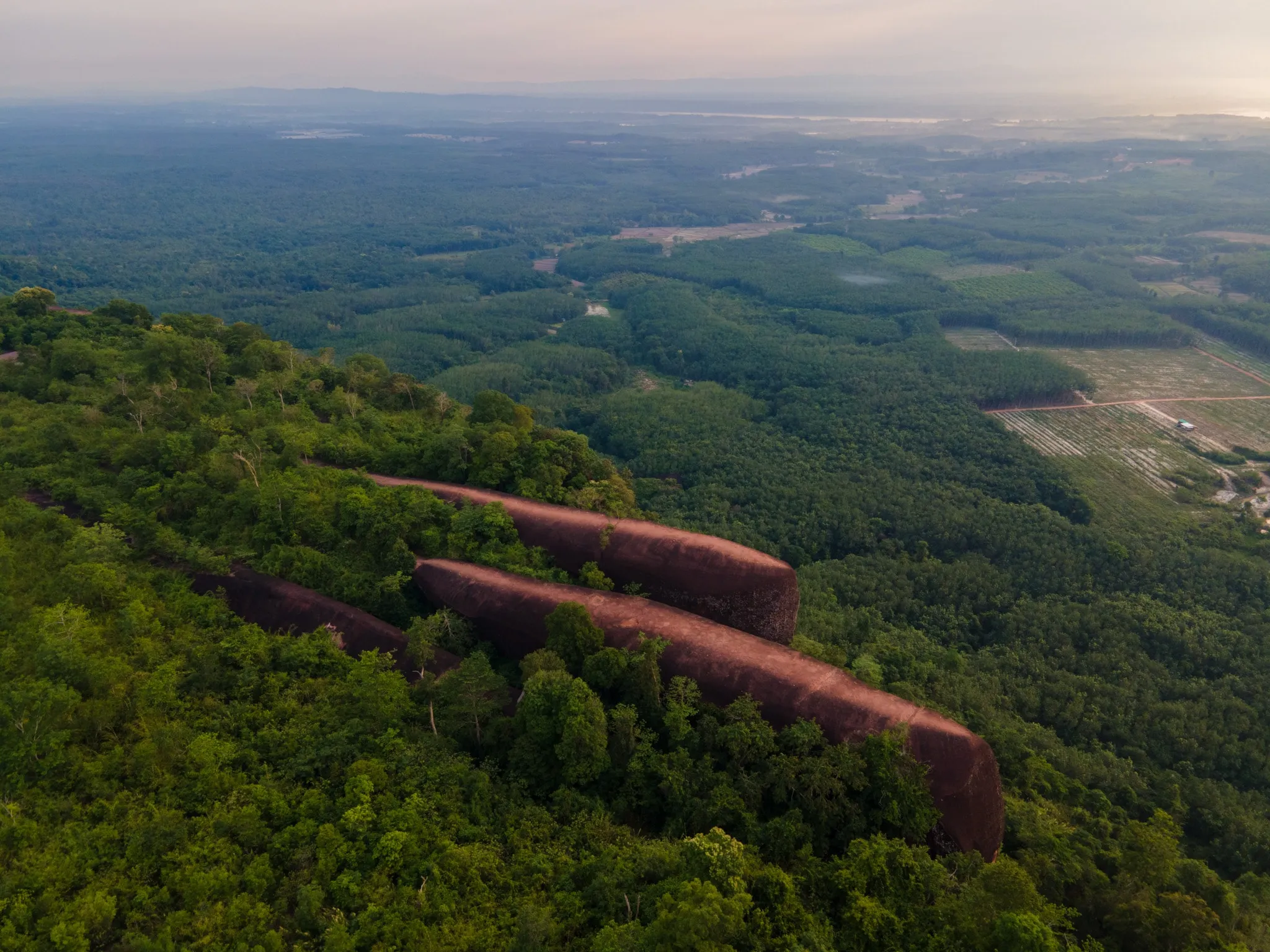 An aerial view of long red rock formations jutting out of forest above a wide plain