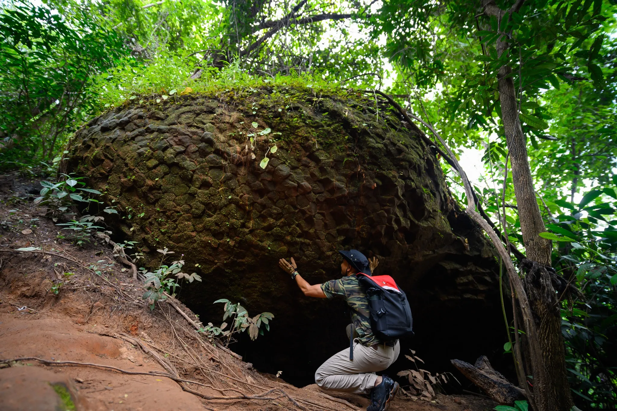 A hiker reaching up to touch a huge moss-covered boulder in a forest