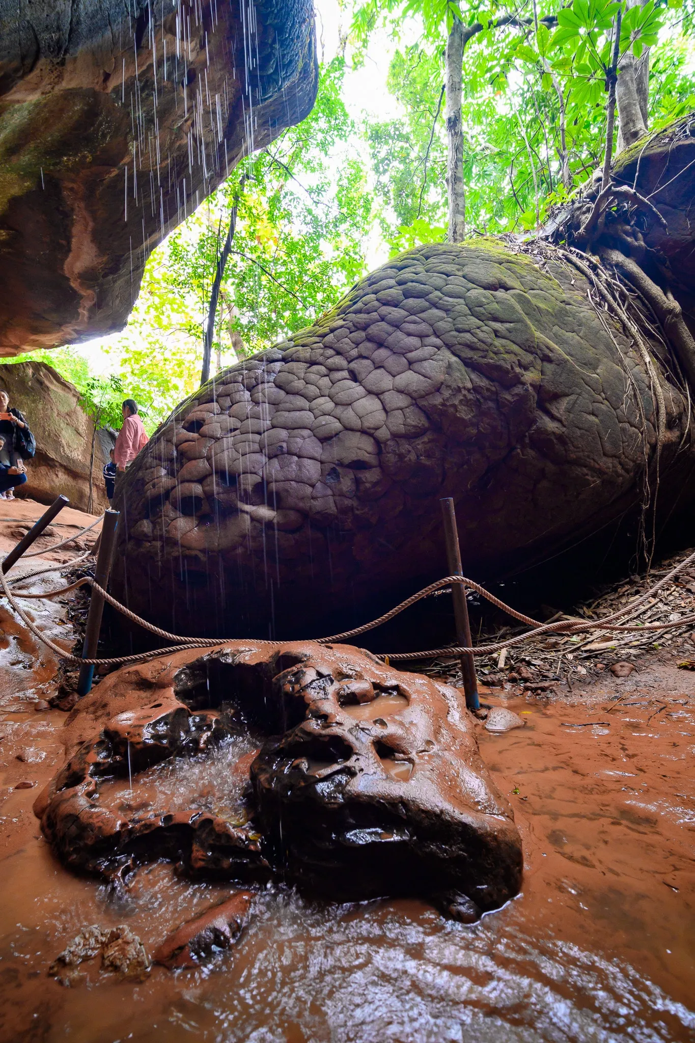 Water dripping onto a scaly, serpent-like sandstone boulder above a red-earth cave floor