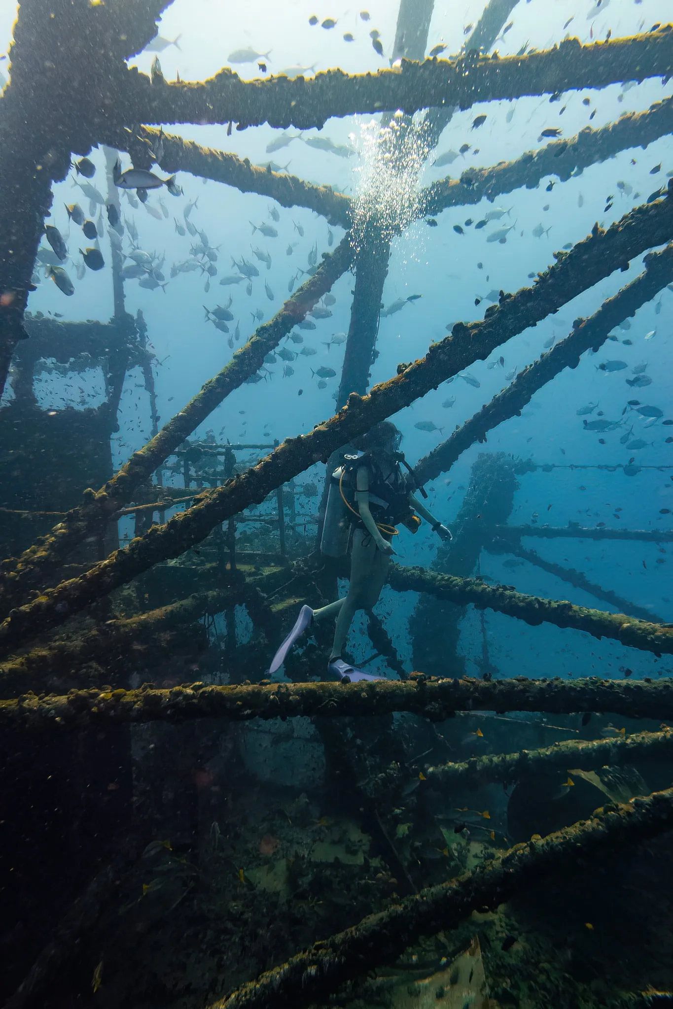 The beams of a submerged shipwreck fading into blue water