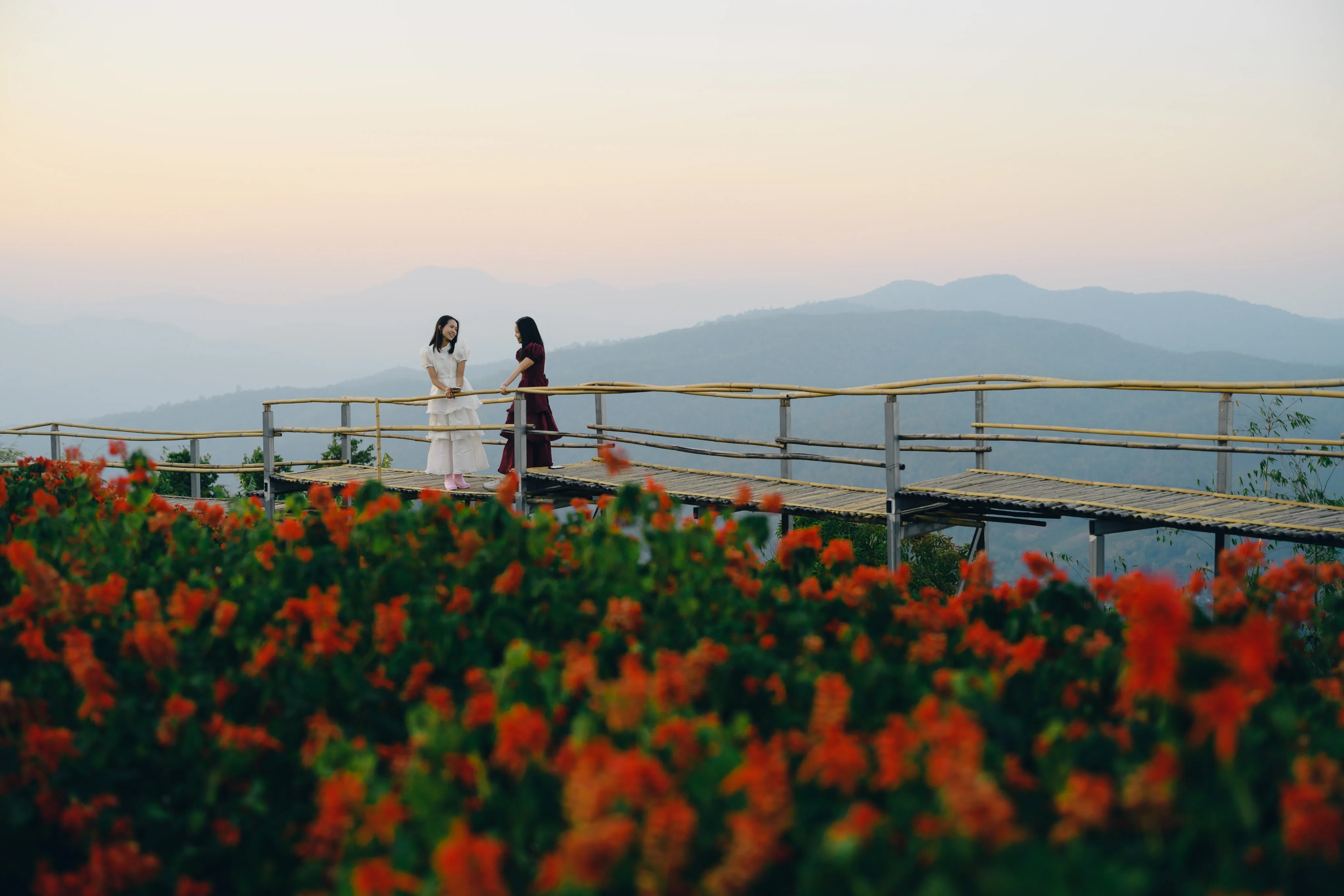 A couple laughing together on a bamboo walkway overlooking a flowering hillside at dusk.