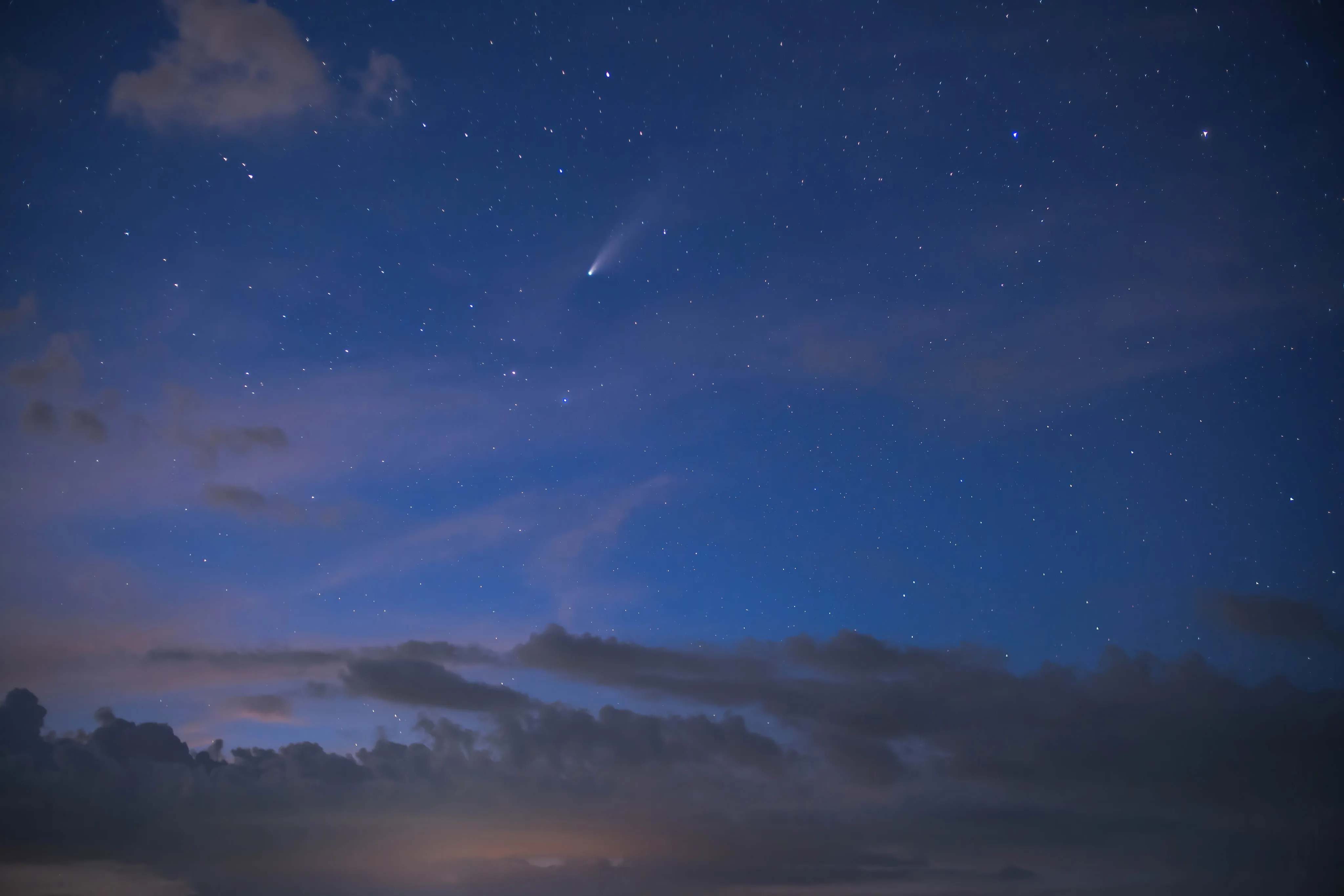 Comet NEOWISE among the stars of a blue night sky above dark clouds