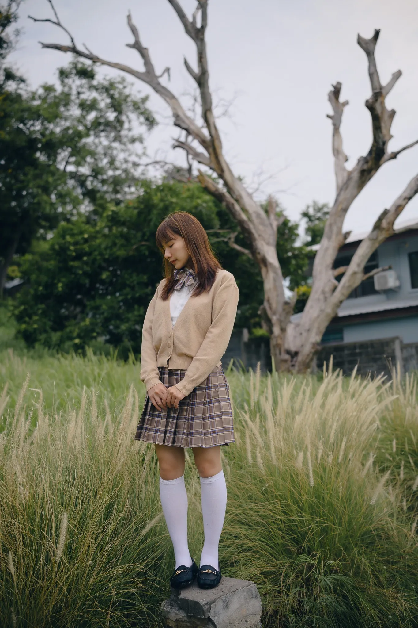 A woman in a beige cardigan and plaid skirt standing on a rock in tall grass beneath a leafless tree