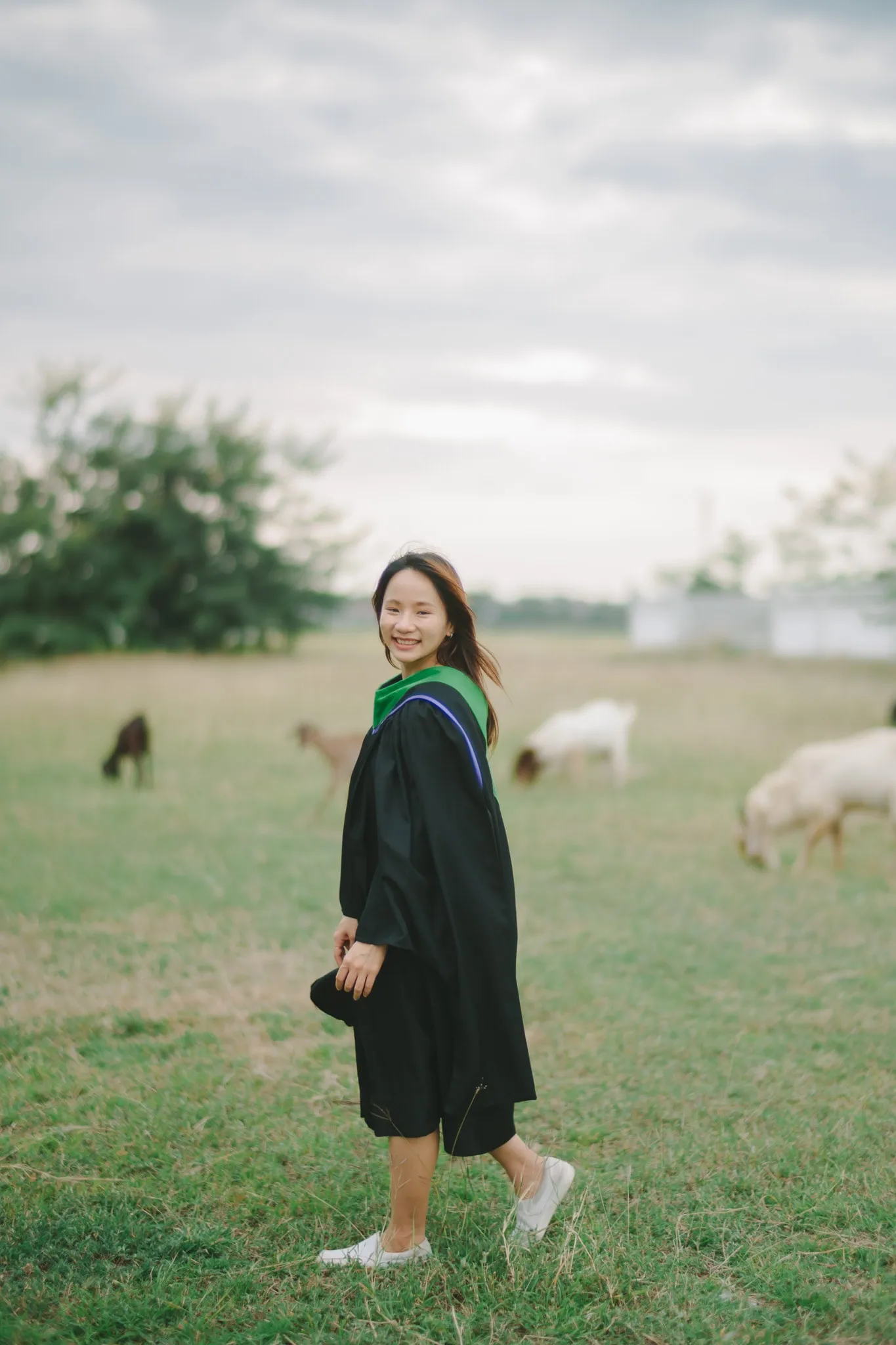 A smiling graduate in a black gown walking across a grassy field where goats are grazing