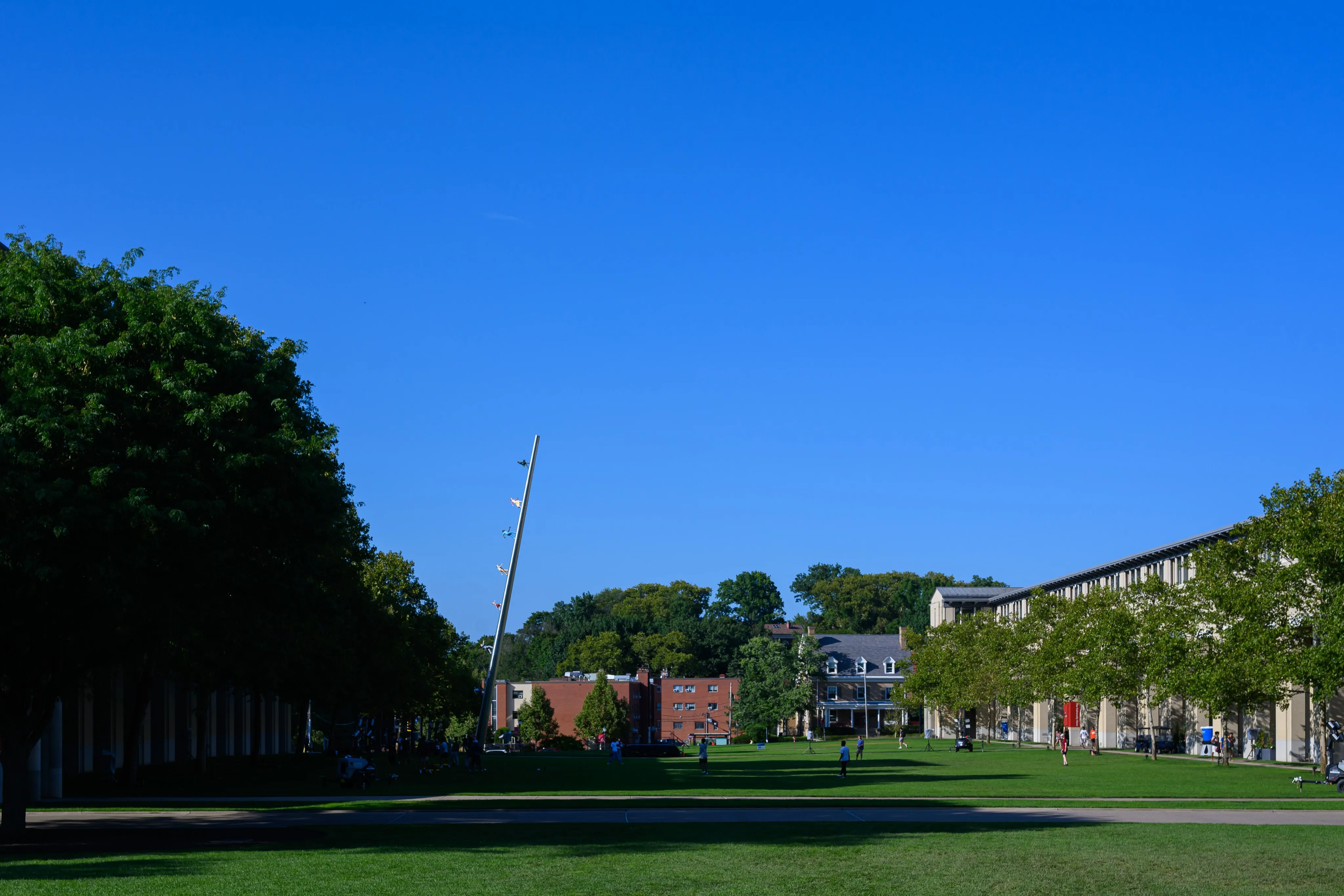 A tree-lined lawn walkway between campus buildings under a clear blue sky.