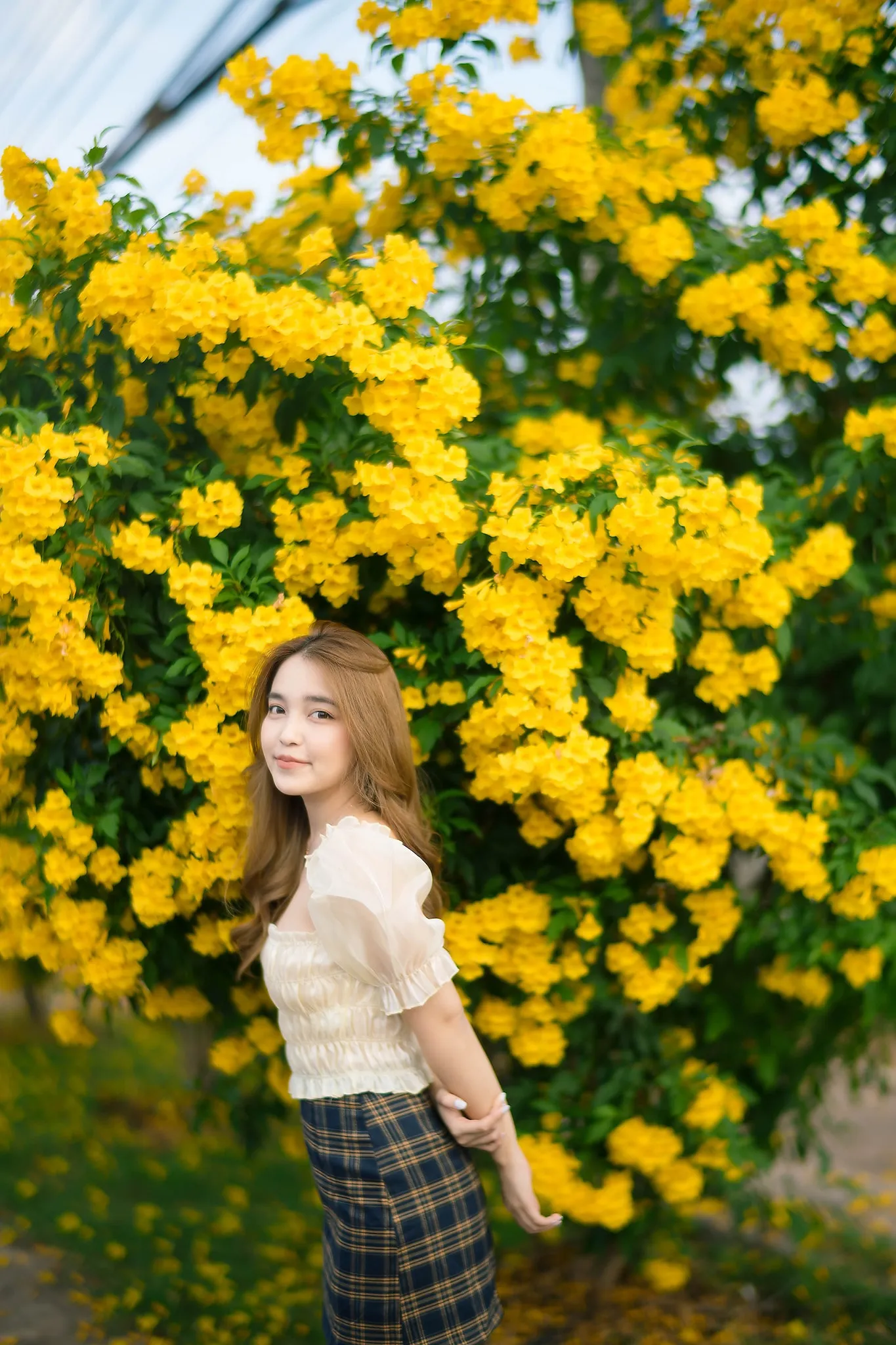A woman standing beside a tree filled with bright yellow flowers