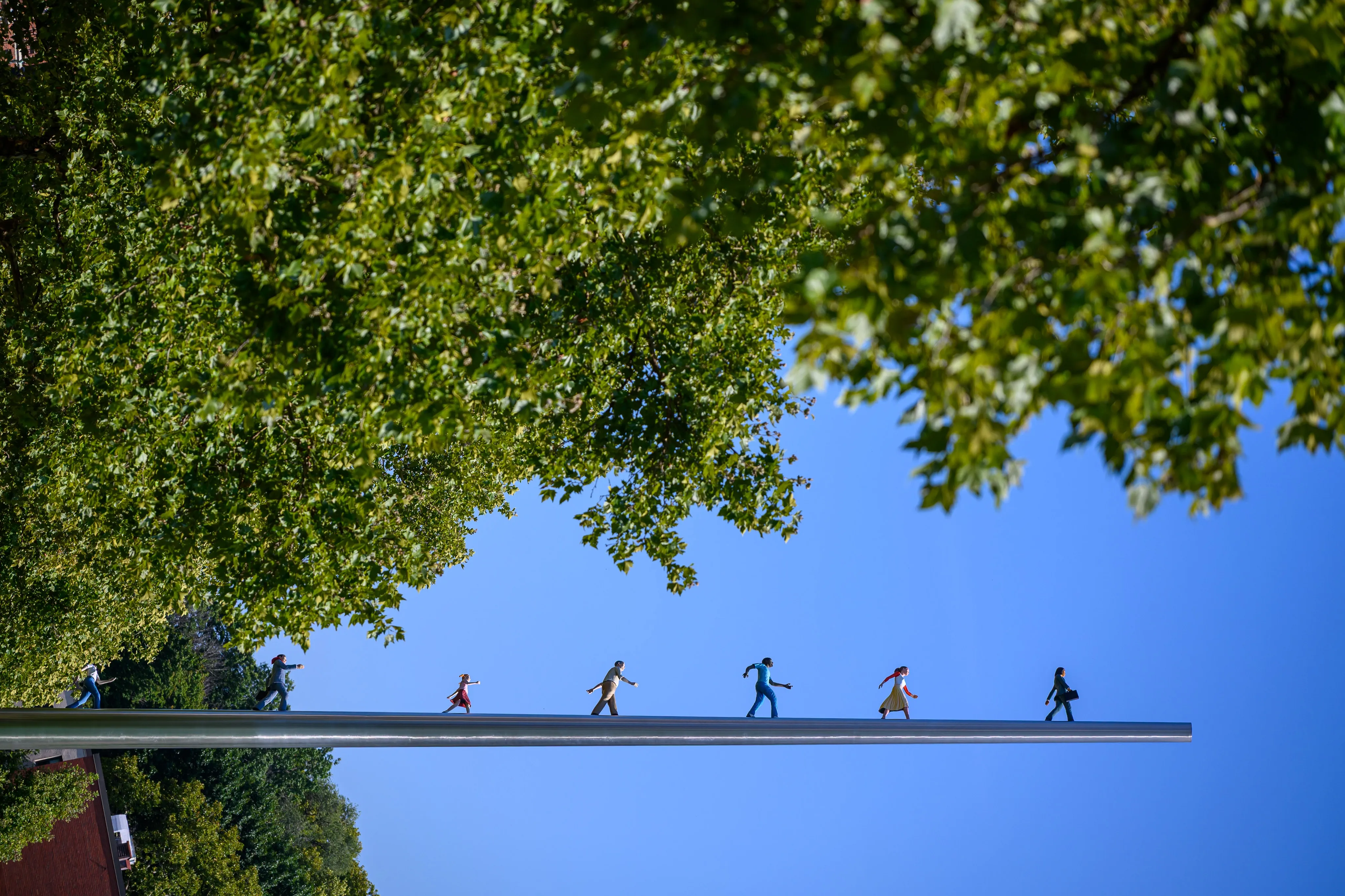 Silhouetted figures walking along a raised beam beneath a canopy of tree branches against a blue sky.