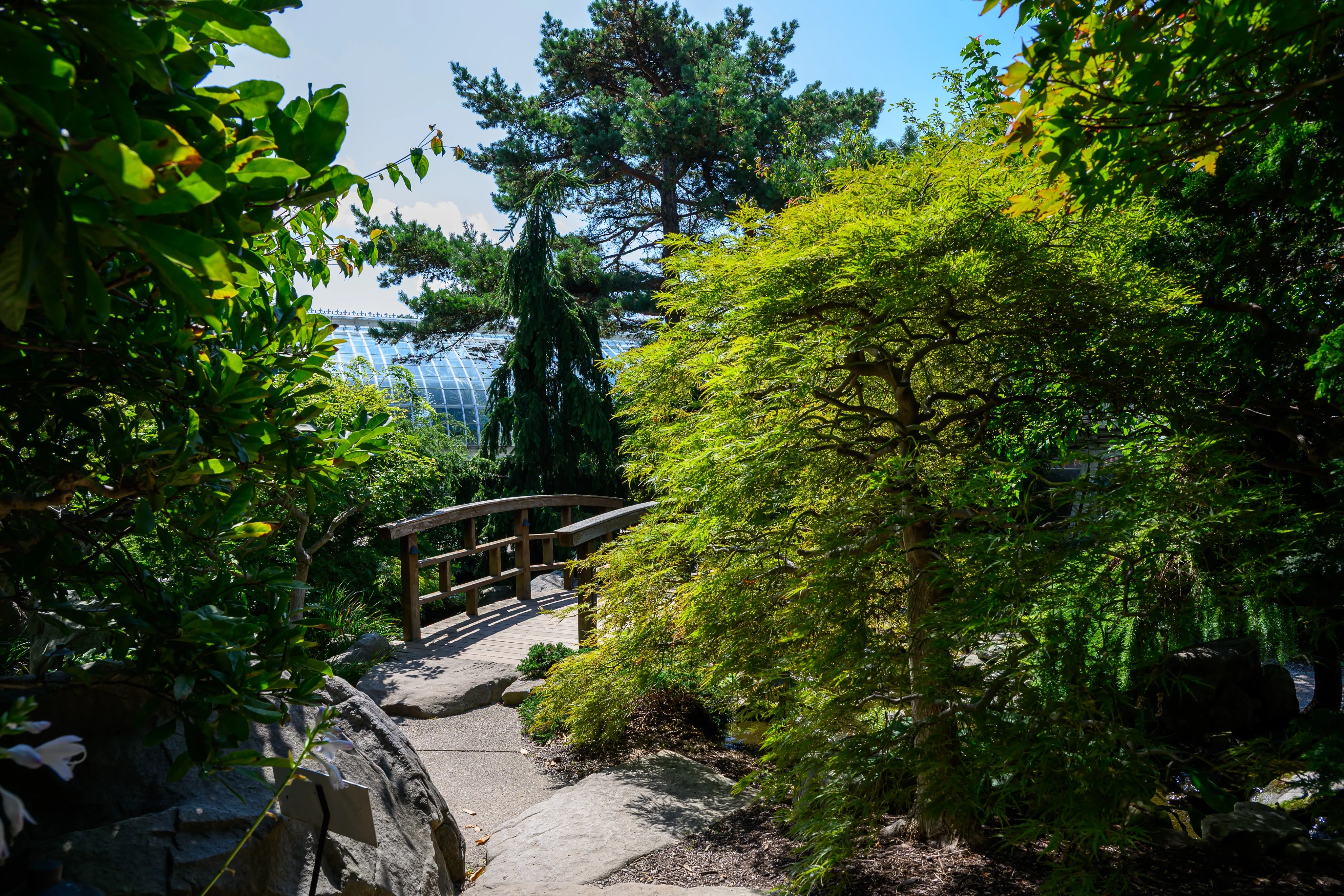 A wooden footbridge crossing a lush green garden path lined with trees.