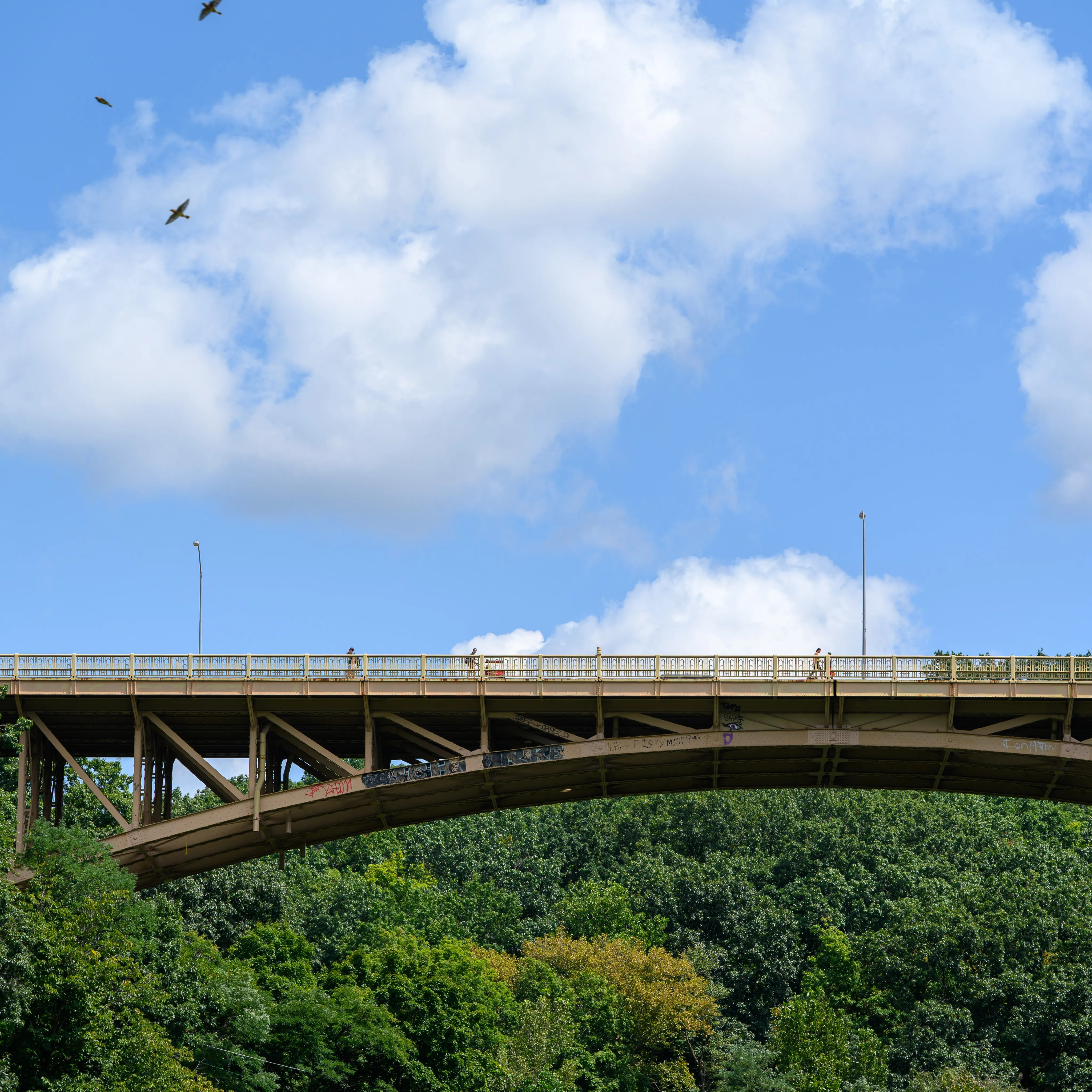 Birds flying across a wide blue sky above a steel road bridge.