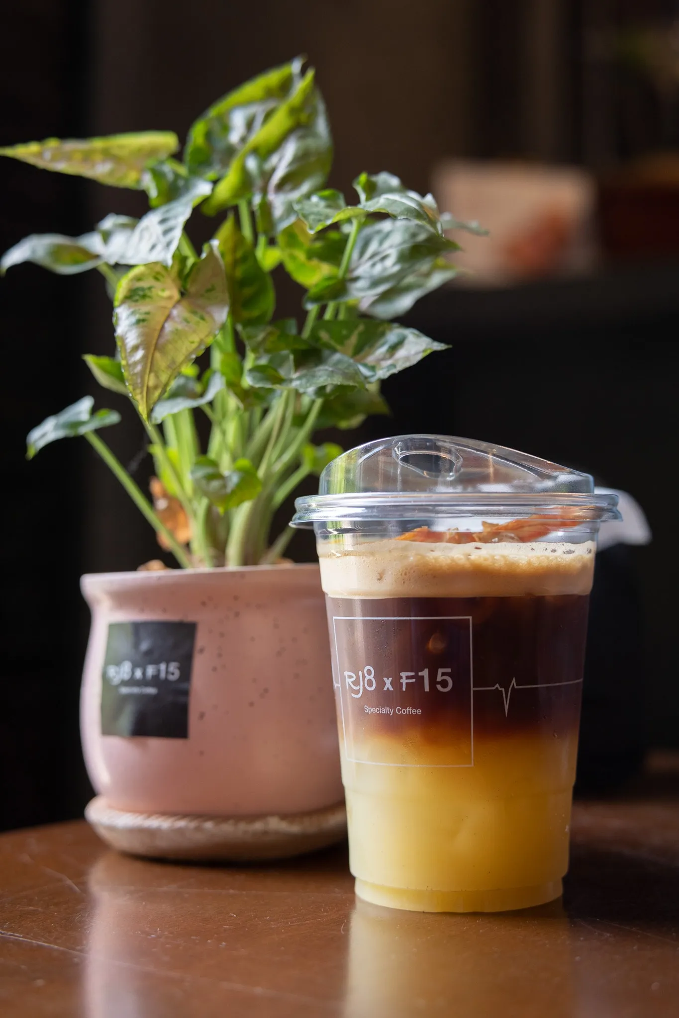 A layered iced coffee in a branded cup beside a potted plant