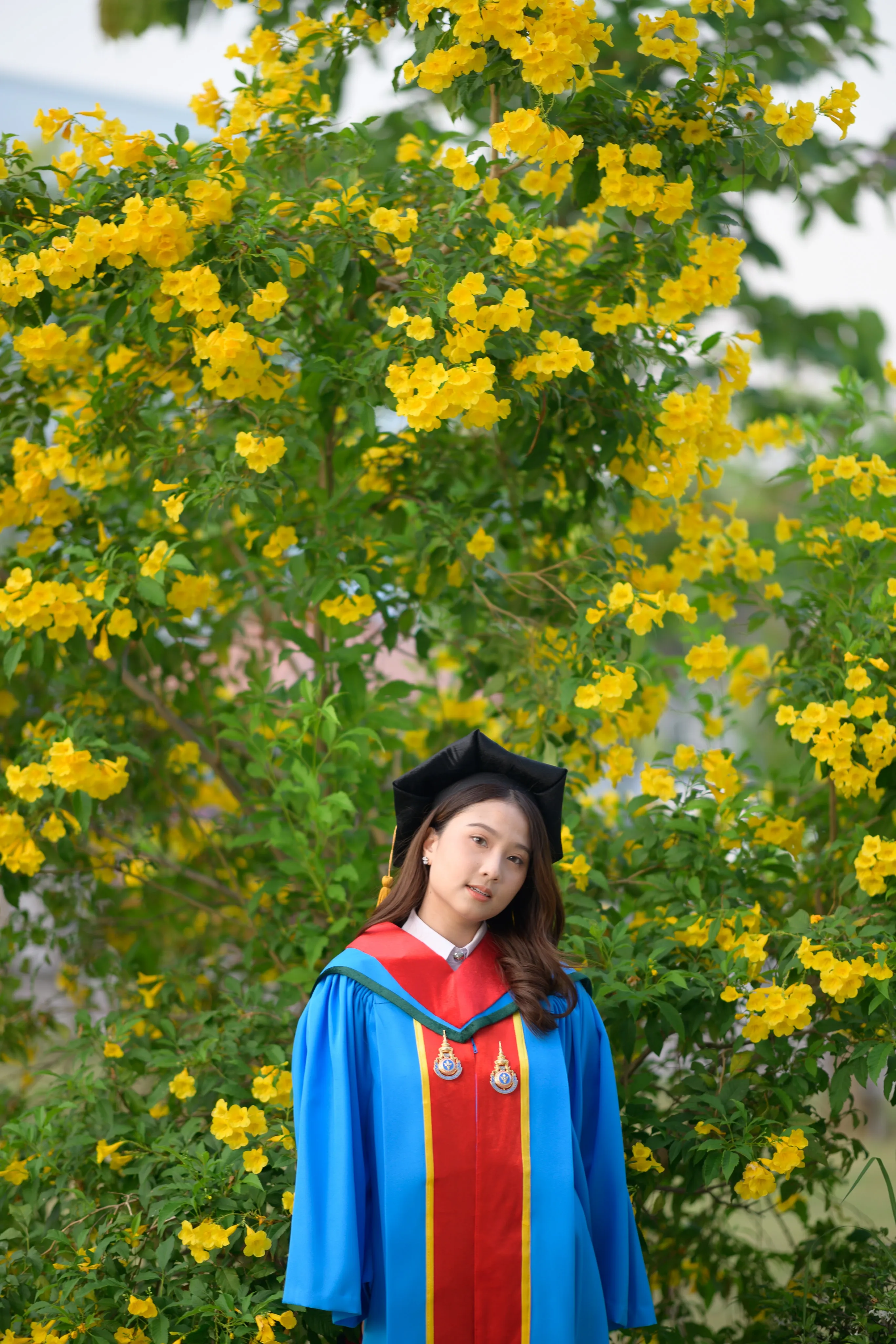 A graduate in a mortarboard and blue gown tilting her head in front of yellow flowers